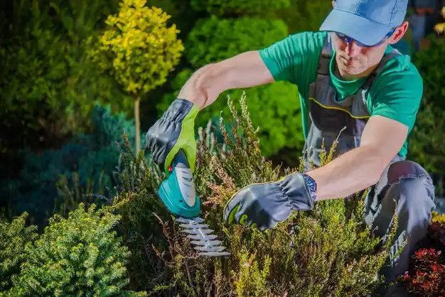 landscaping services Freeland